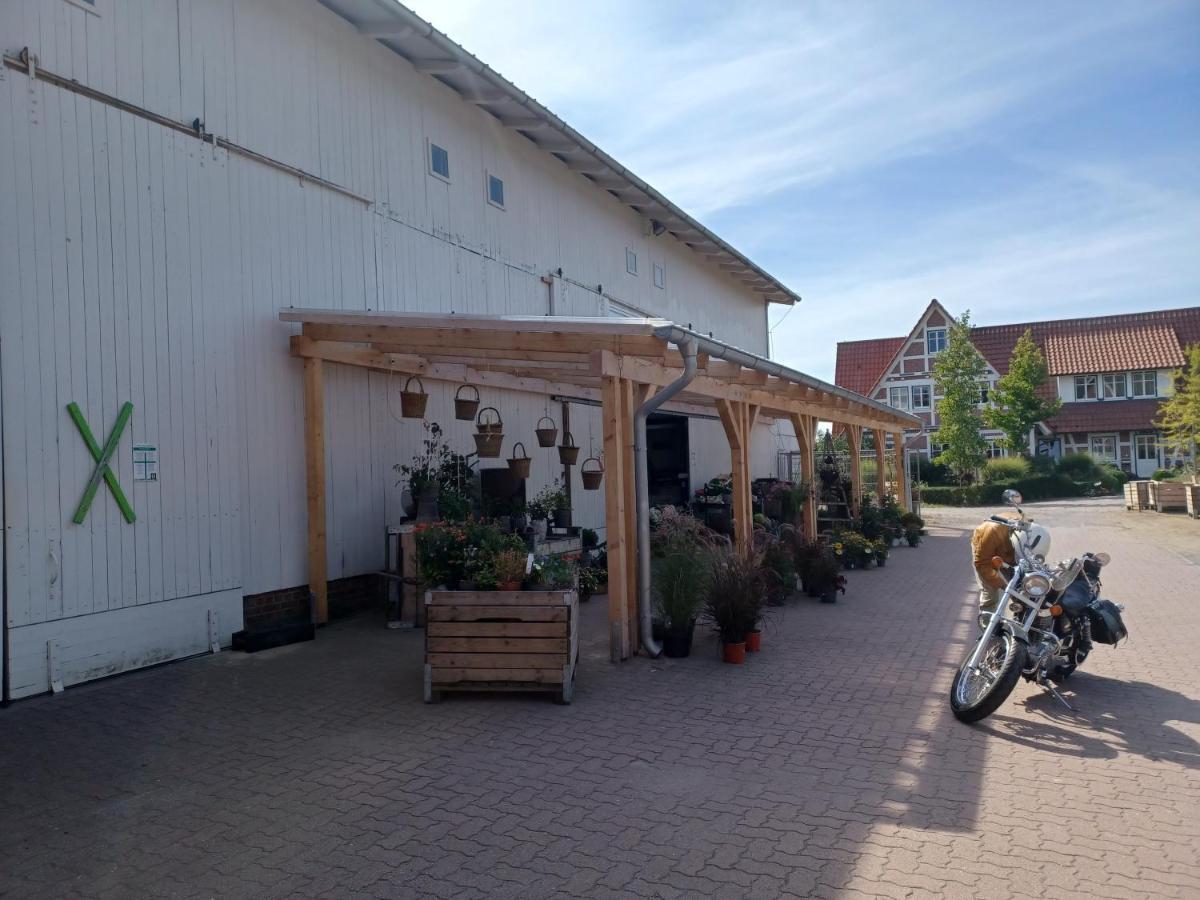Ferienwohnung Am Elbstrom Stade Exteriör bild