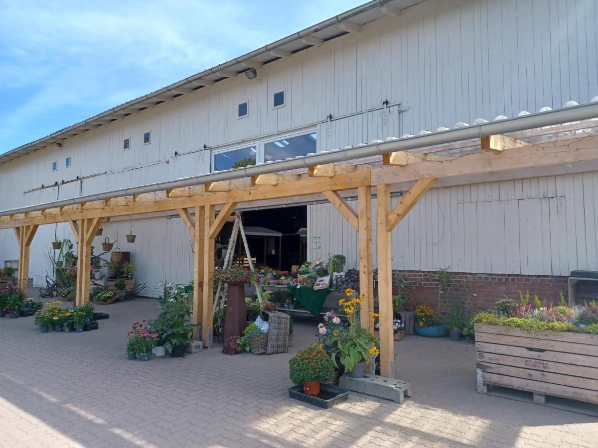 Ferienwohnung Am Elbstrom Stade Exteriör bild
